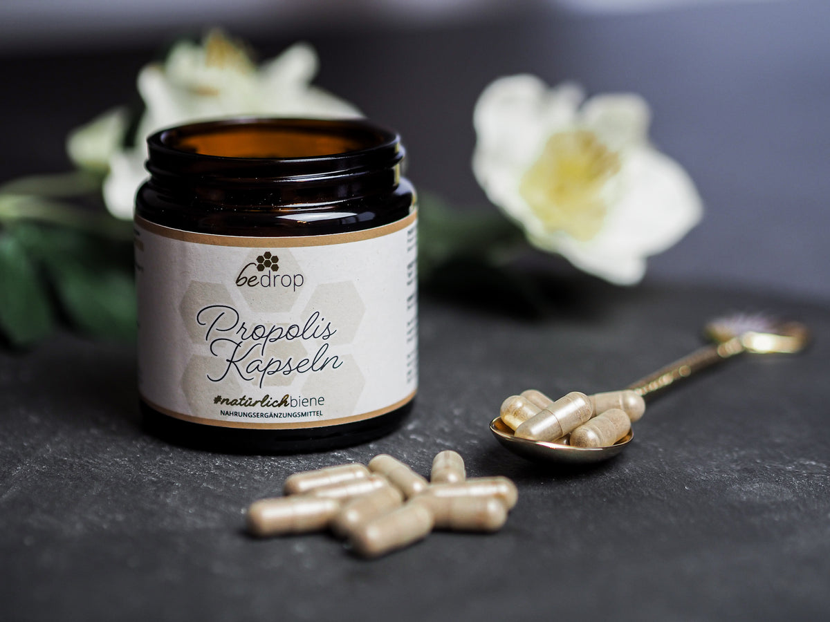 Propolis fĂŒr die VitalitĂ€t