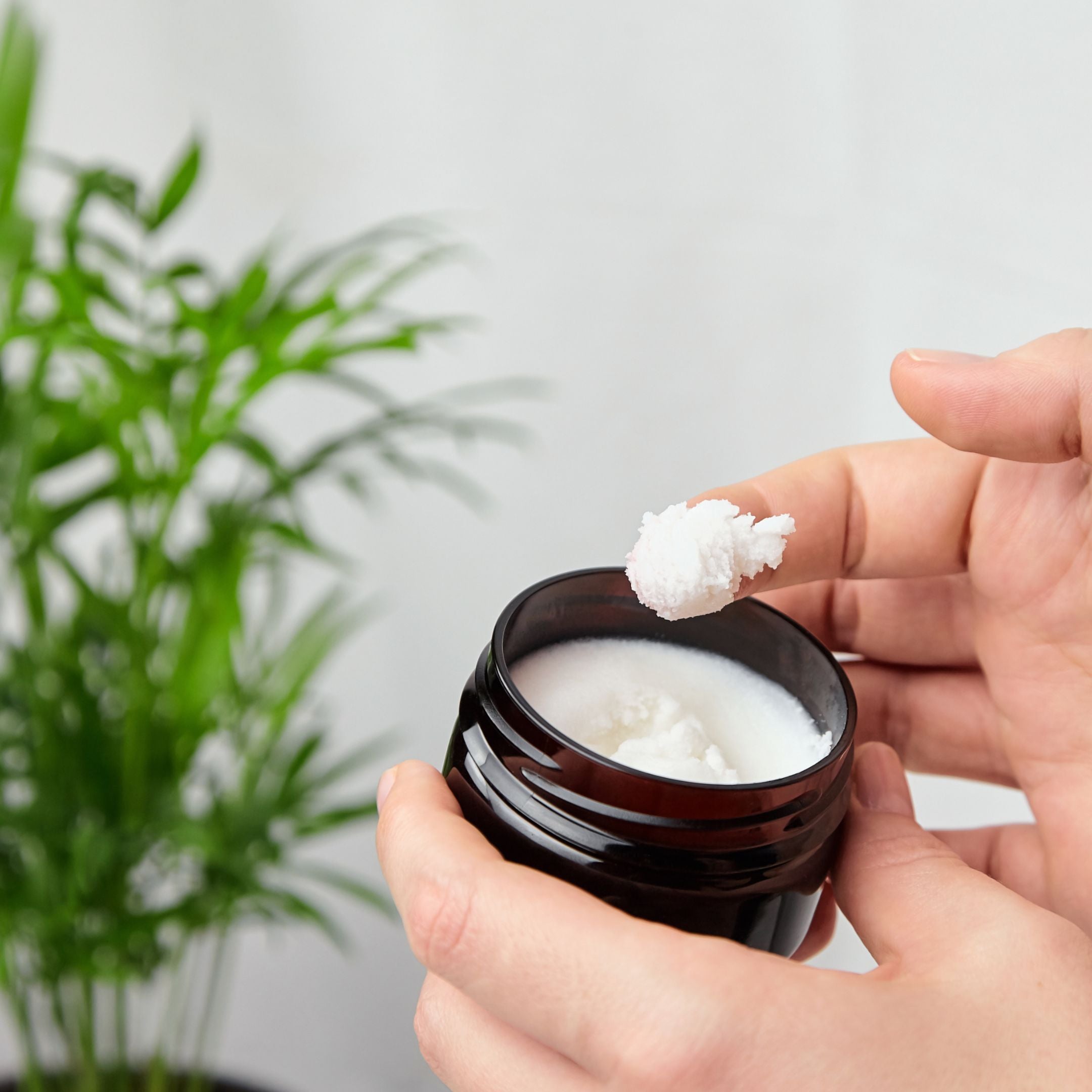 Set d'avantages : 3x Lotion Royale Lotion pour le corps à la gelée royale, au beurre de karité et au miel de manuka dans un set de 3 pièces