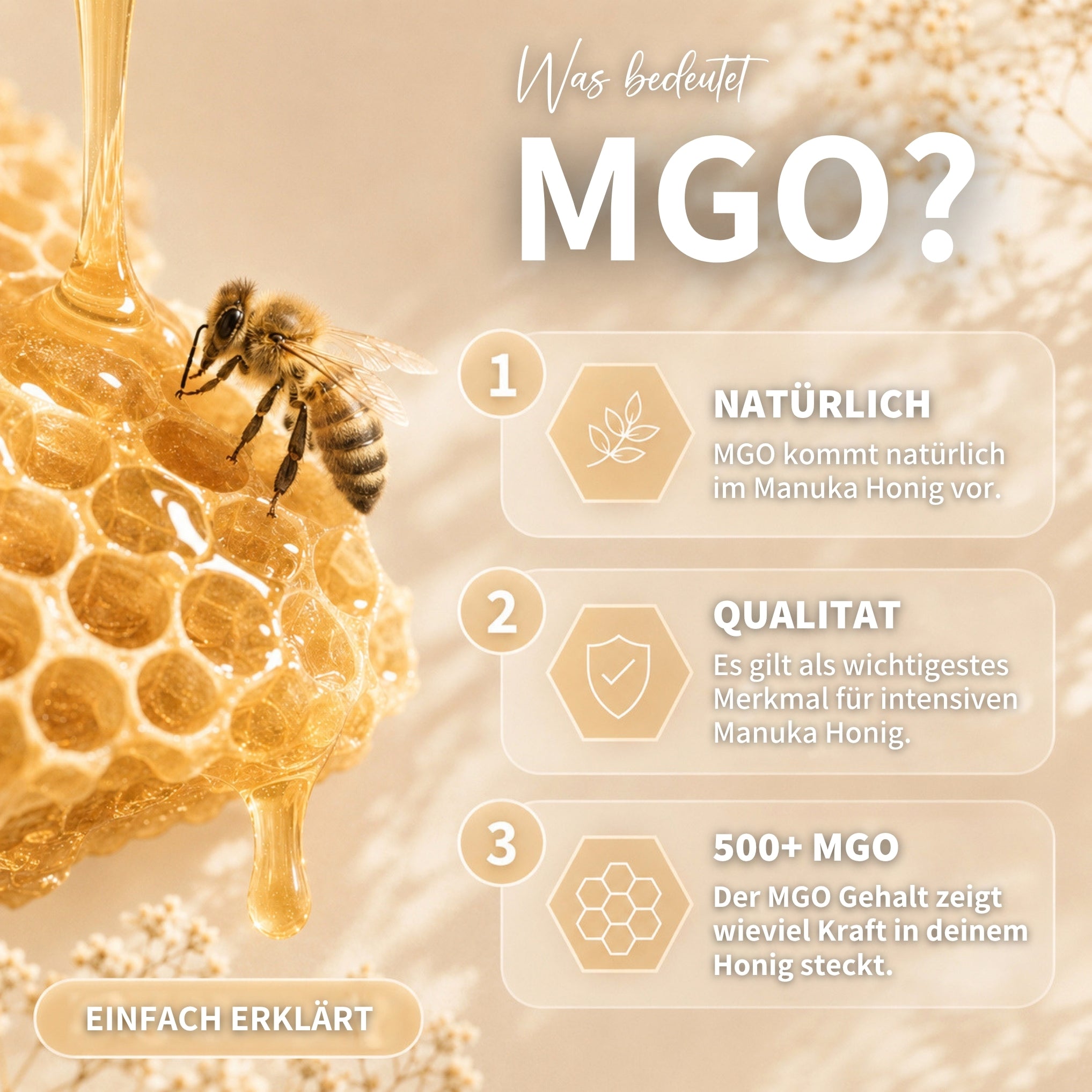 Miel de Manuka 140g avec MGO 500