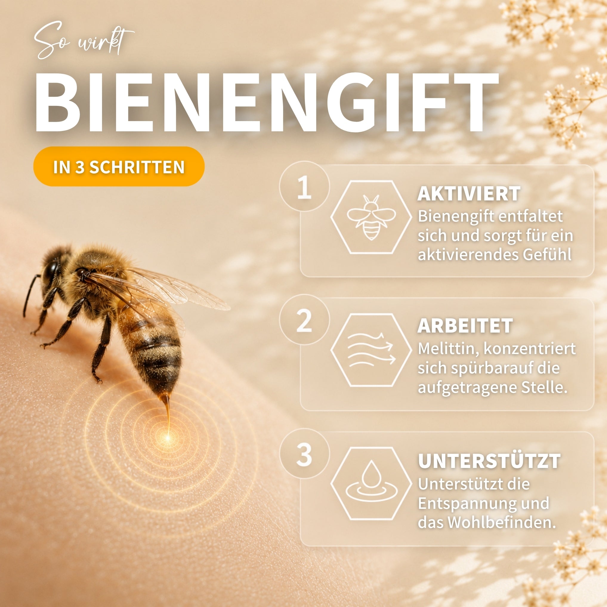 Coffret détente au venin d'abeille : Bee Cream + Api Relax Roll On pour une détente rafraîchissante
